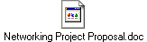 Networking Project Proposal.doc