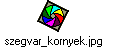 szegvar_kornyek.jpg