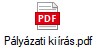 Pályázati kiírás.pdf